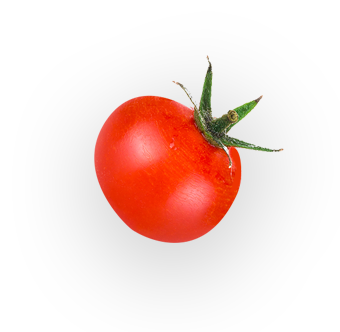 pomidor